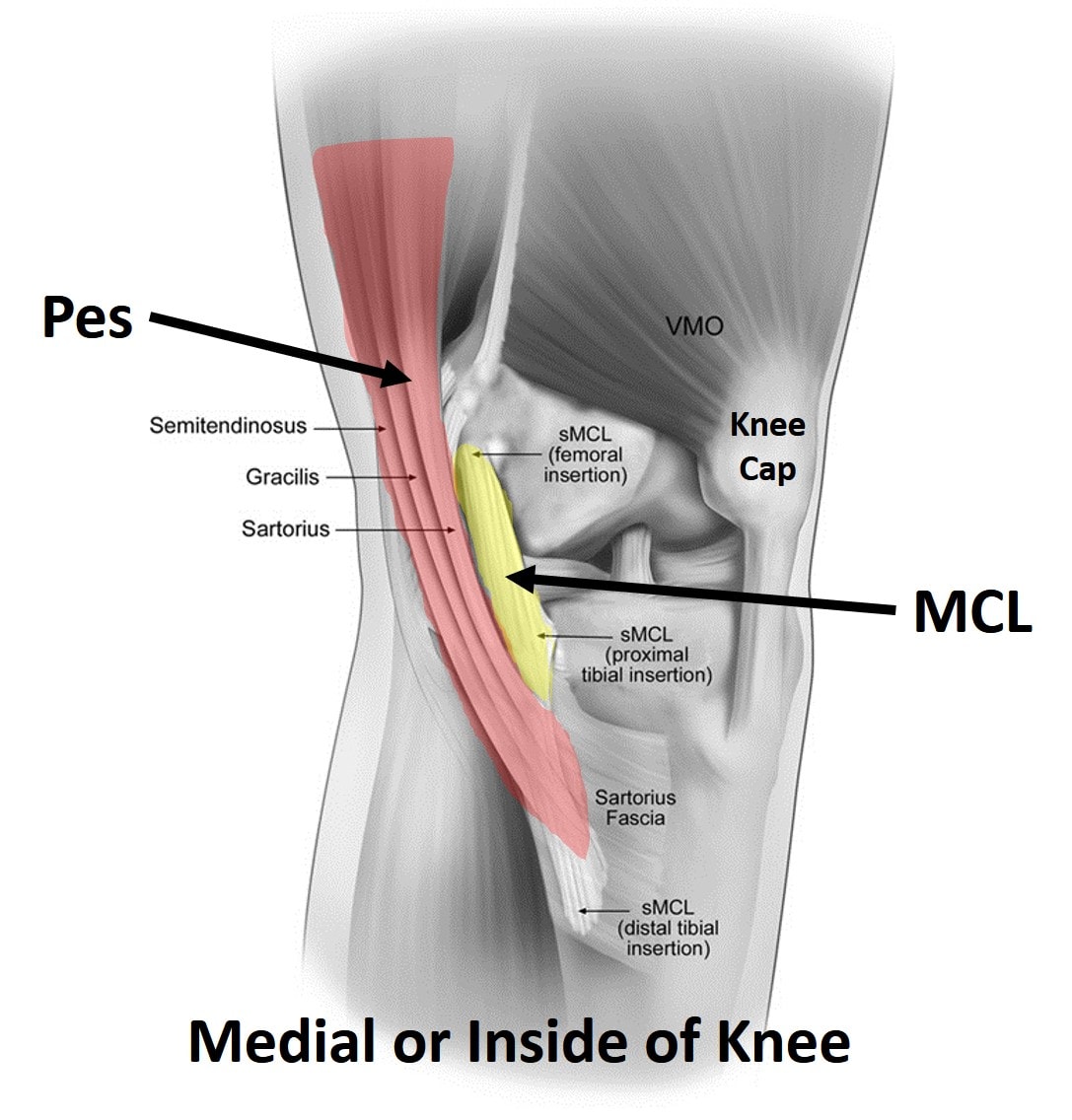 PRP For Knee Arthritis Regenexx At New Regeneration Orthopedics